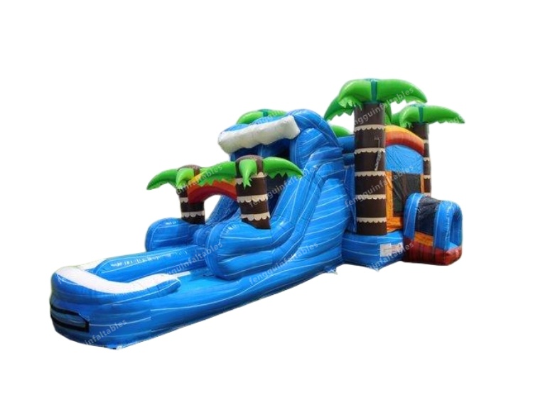 Palm Trees Inflatable Dry Combo