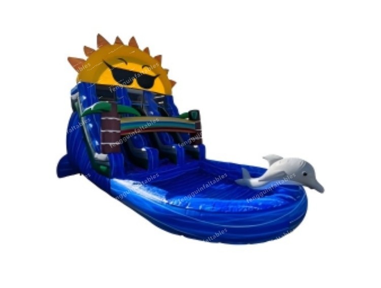 Dolphin & Sun Inflatable Water Slide